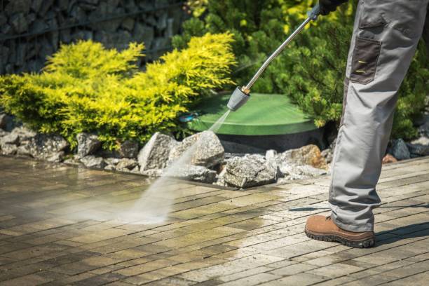 Best Winterizing Services  in Sulphur Springs, TX